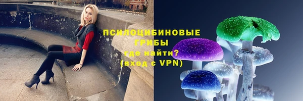 марки lsd Гусиноозёрск