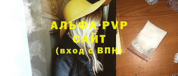 дмт Гусев