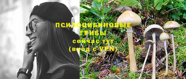 эйфоретик Грязи