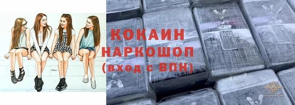 дмт Гусев